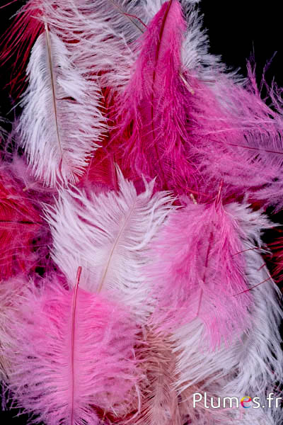 Struzzo barbules - 8-15 cm - rosso
